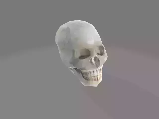 Skull for mobile game