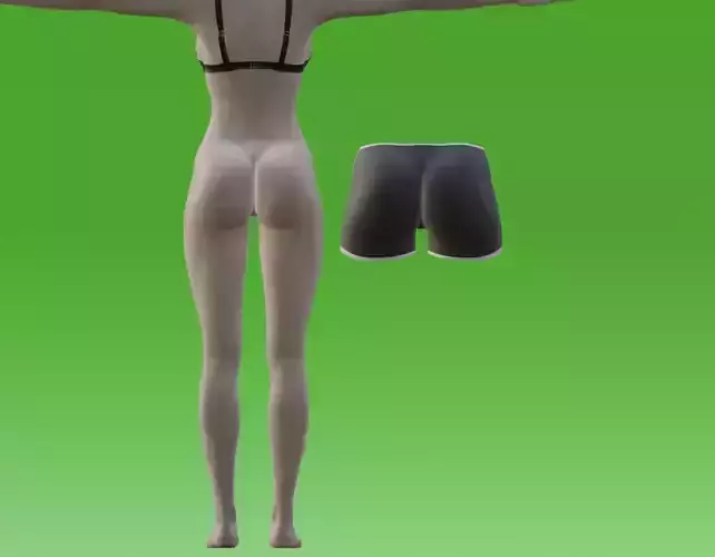 Womens shorts 3d model