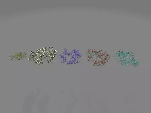 Flowers color full lov poly Low-poly 3D model_0