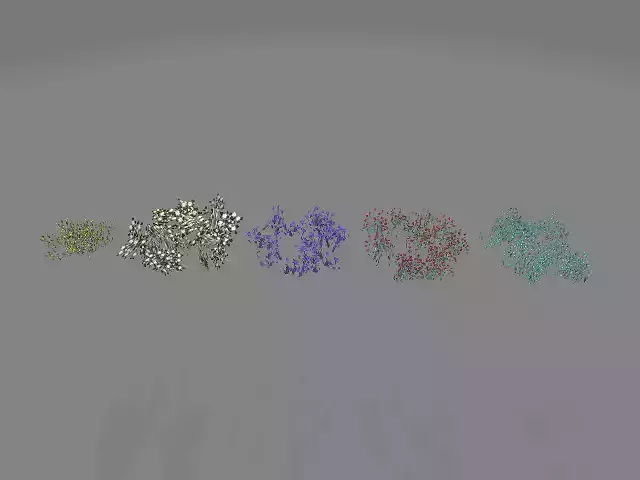 Flowers color full lov poly