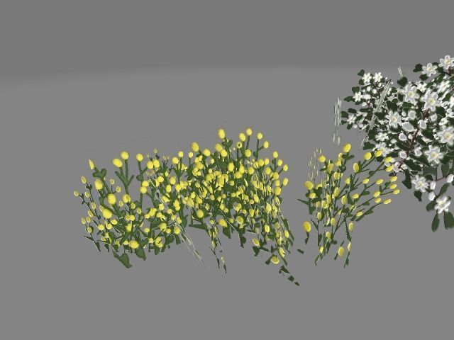 Flowers color full lov poly Low-poly 3D model_1