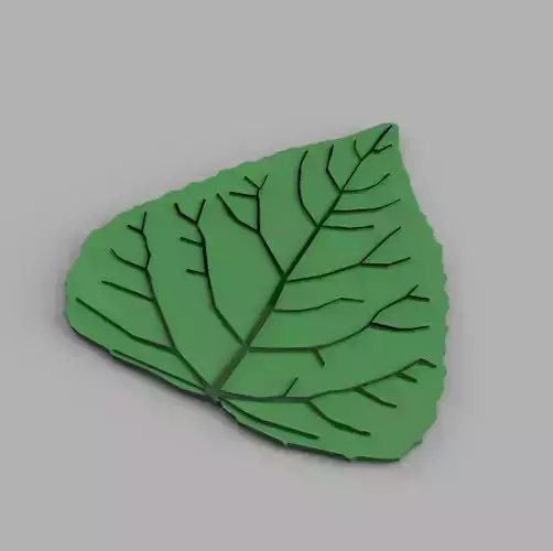 poplar leaf 3D print model