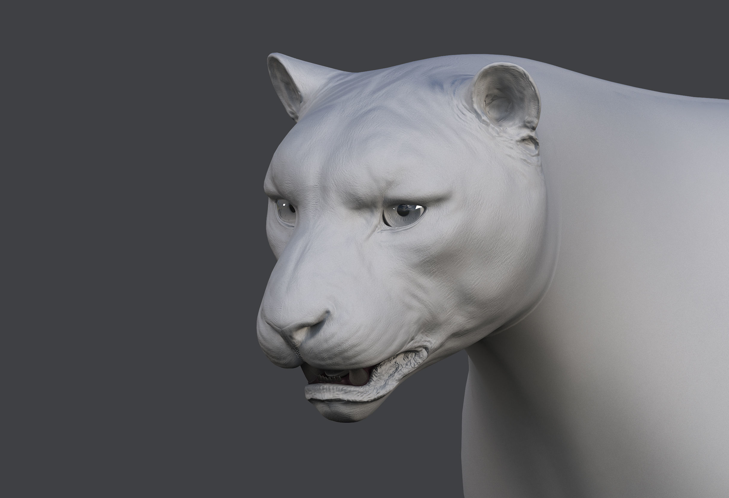 Snow leopard v-ray ornatrix Low-poly 3D model_16