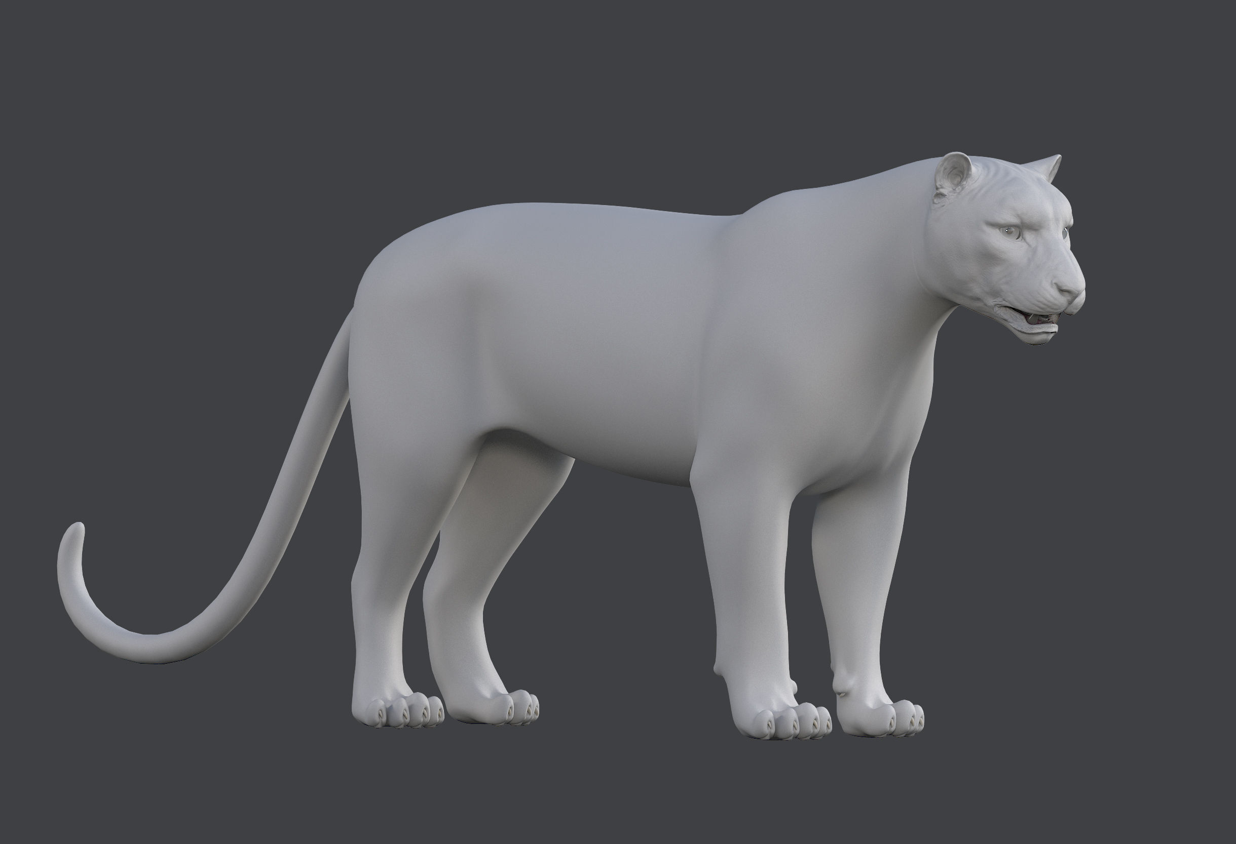 Snow leopard v-ray ornatrix Low-poly 3D model_15