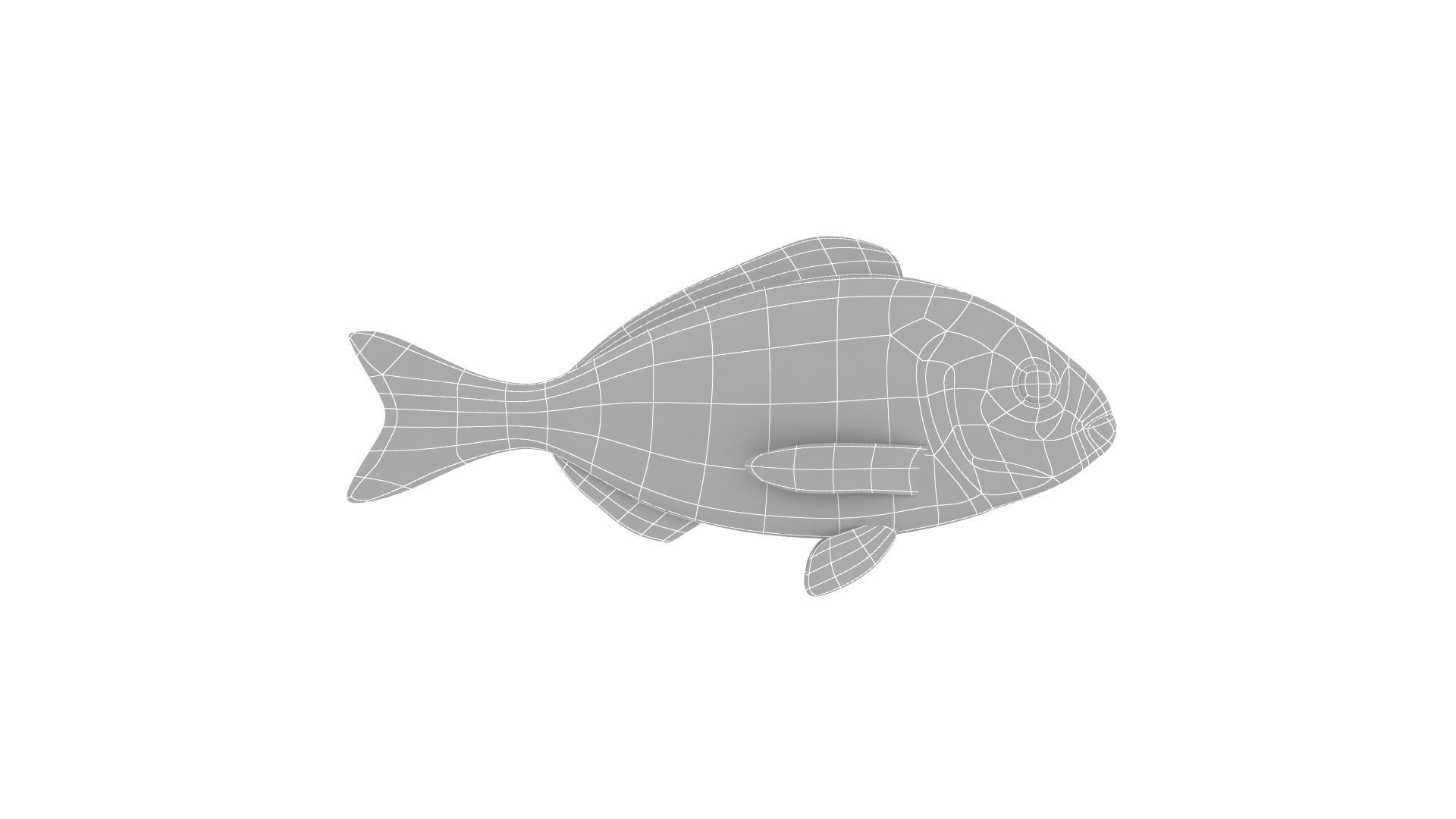 Fish Collection 3D model_20