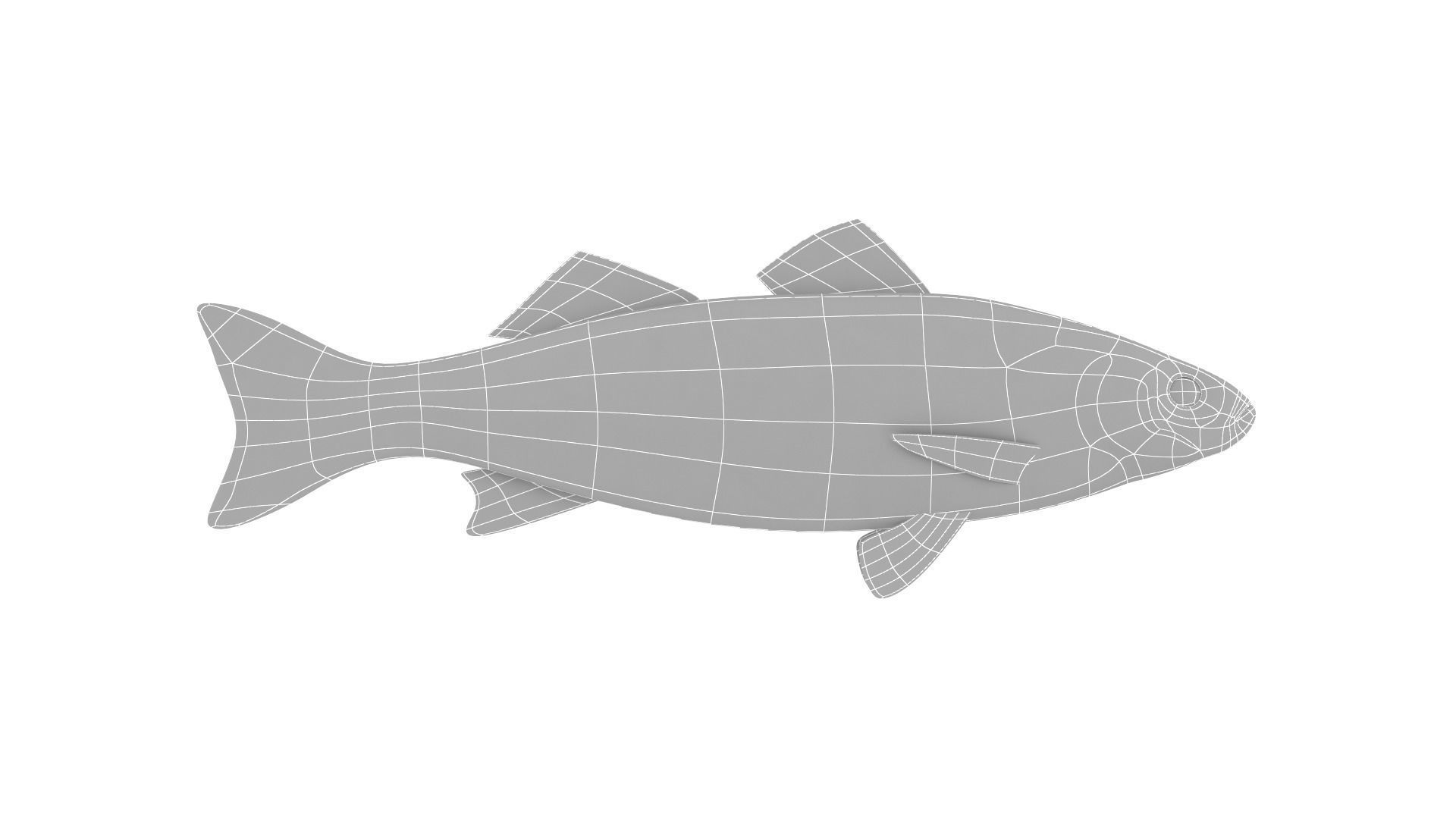 Fish Collection 3D model_23