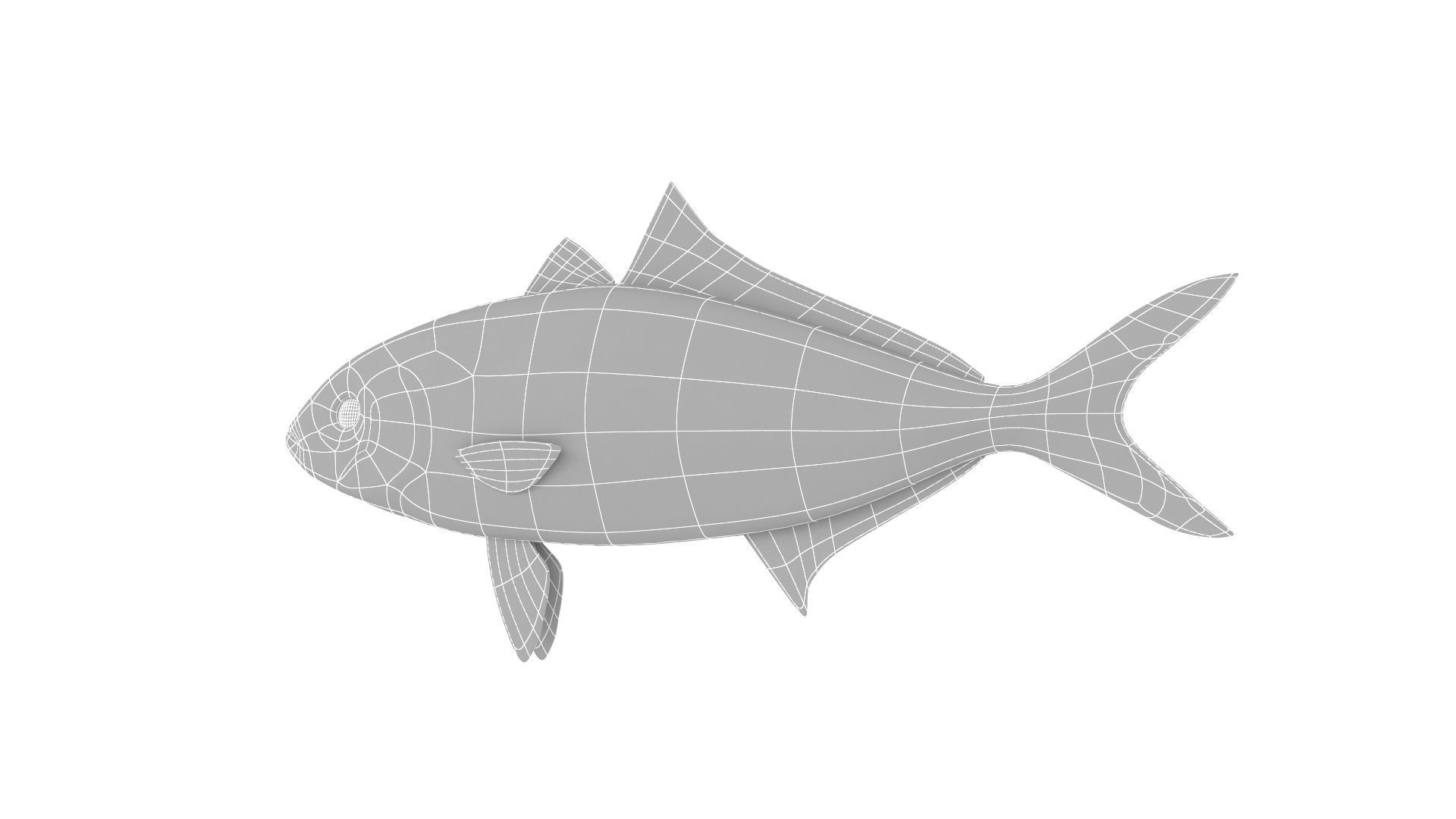 Fish Collection 3D model_31