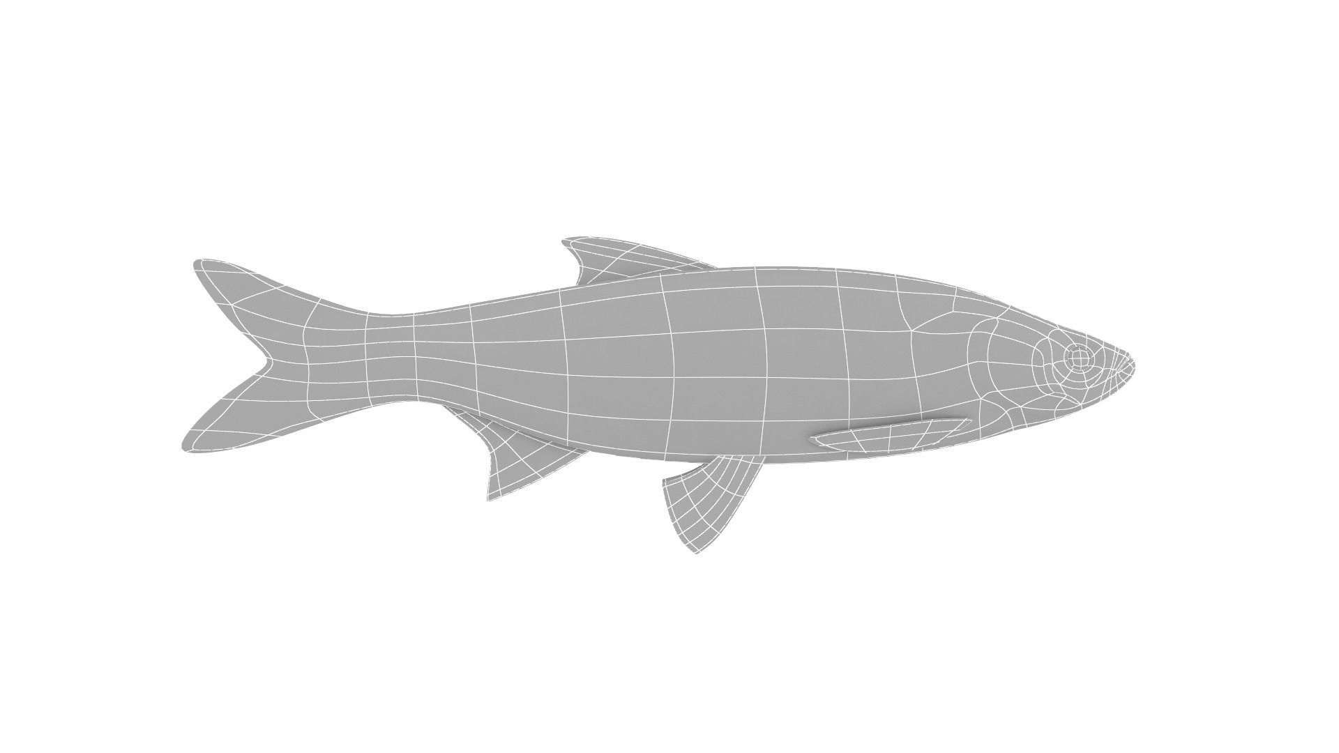 Fish Collection 3D model_26