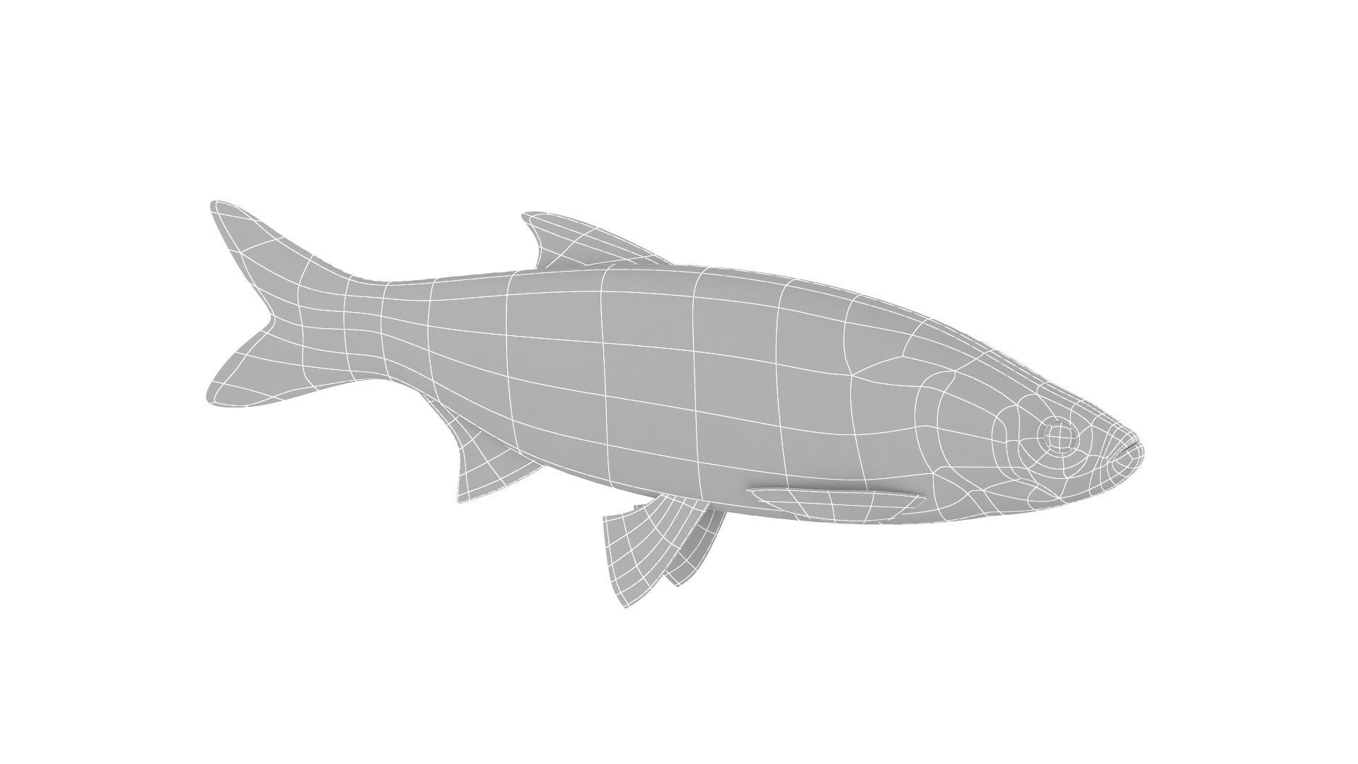 Fish Collection 3D model_27