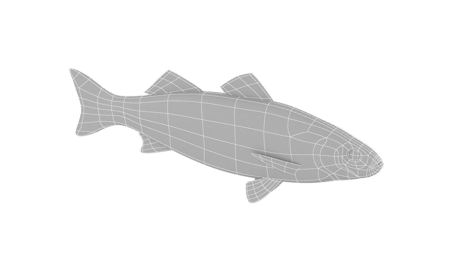 Fish Collection 3D model_24