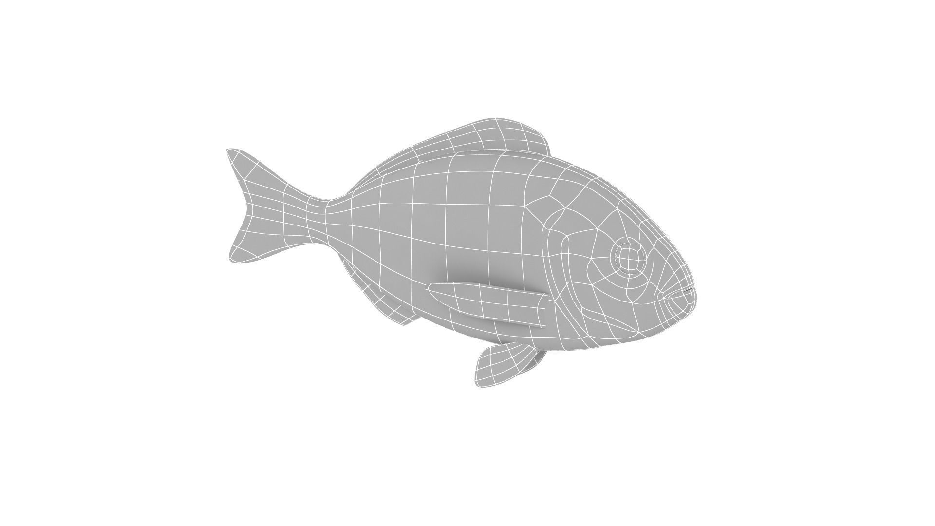 Fish Collection 3D model_21