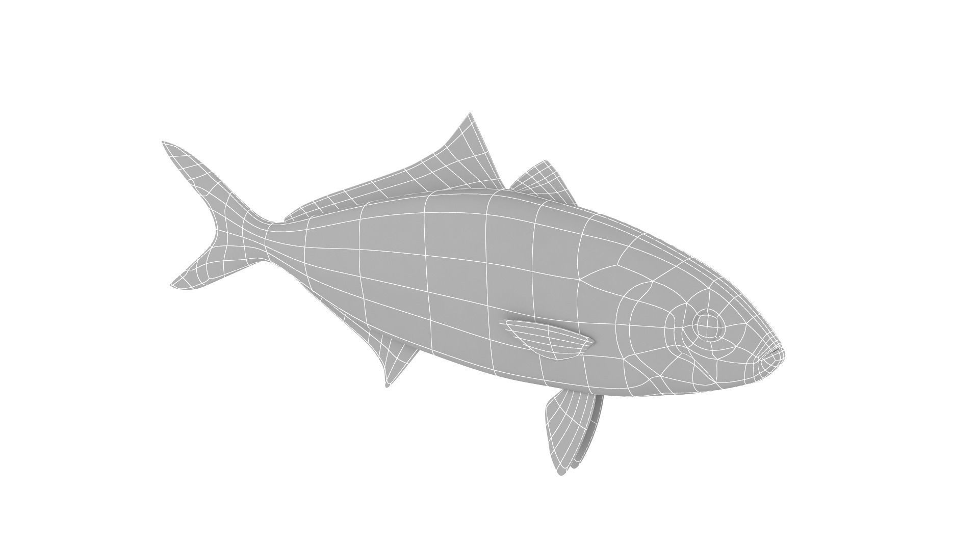 Fish Collection 3D model_30