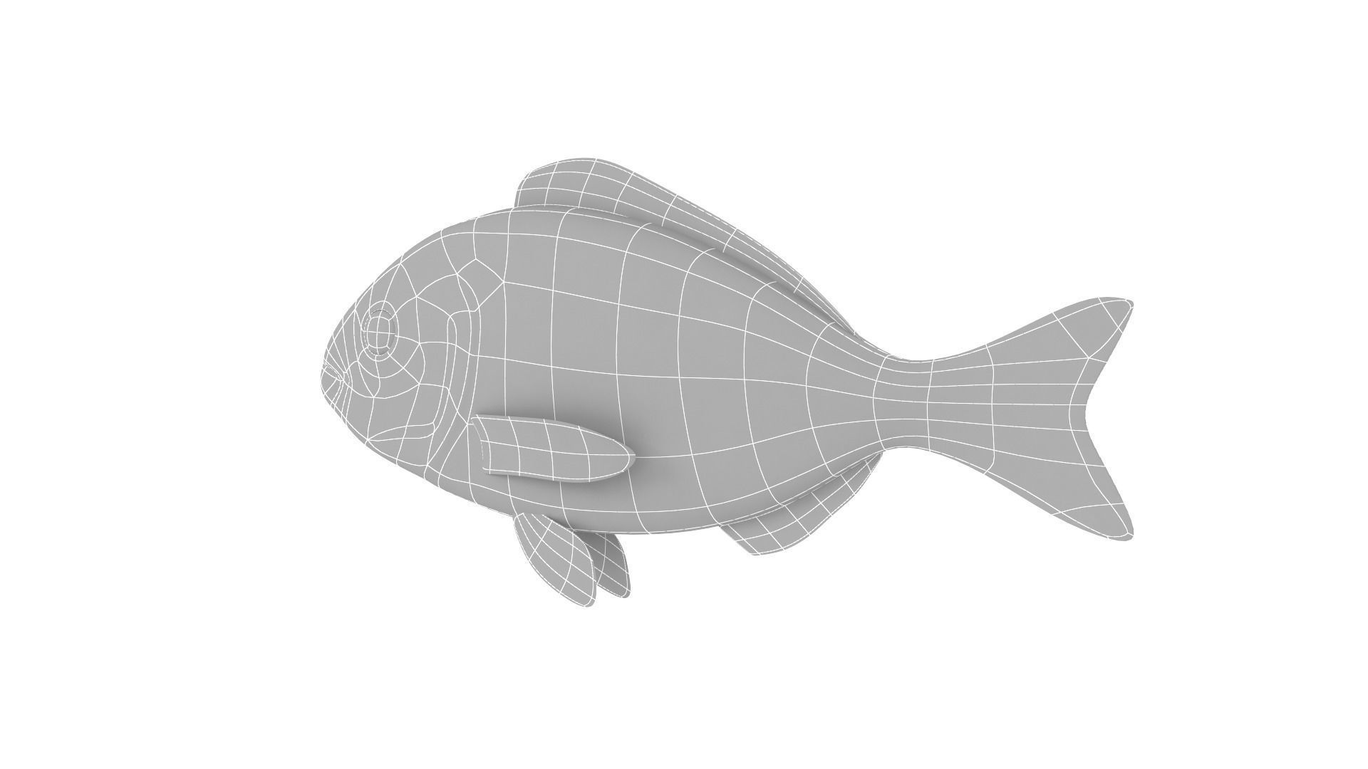 Fish Collection 3D model_22