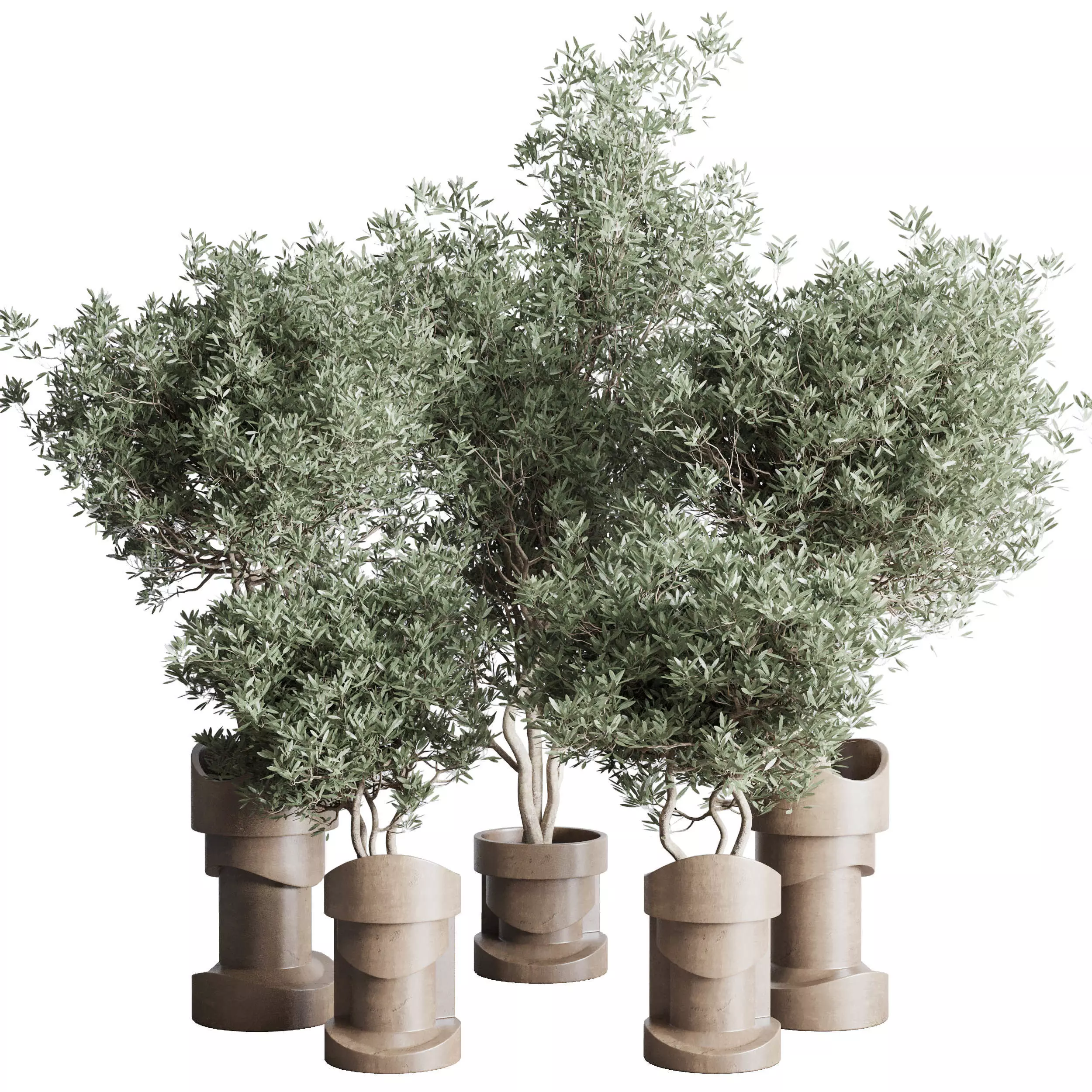 Collection indoor plant 265 plant tree bush vase concrete vase 3D model