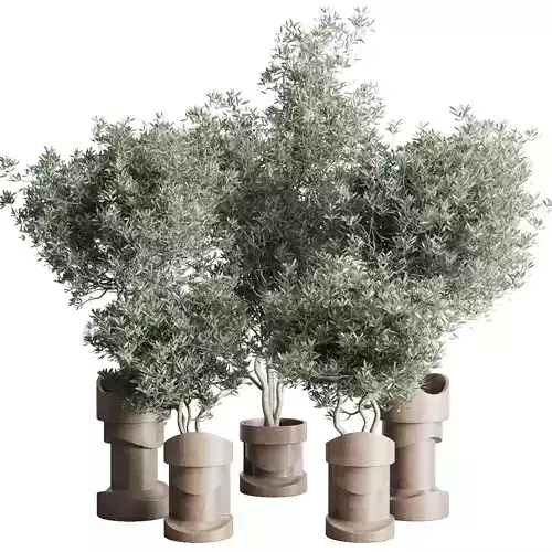 Collection indoor plant 265 plant tree bush vase concrete vase