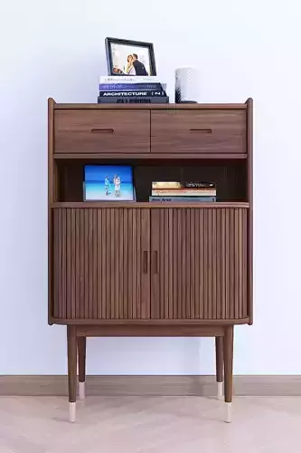 Cabinet sideboard with two drawers and shelf