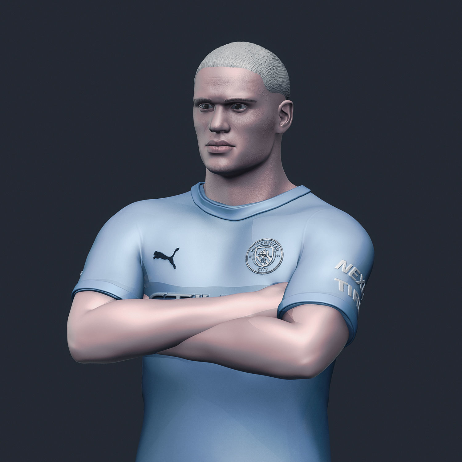 Erling Haaland 3D Printable 3D print model_15