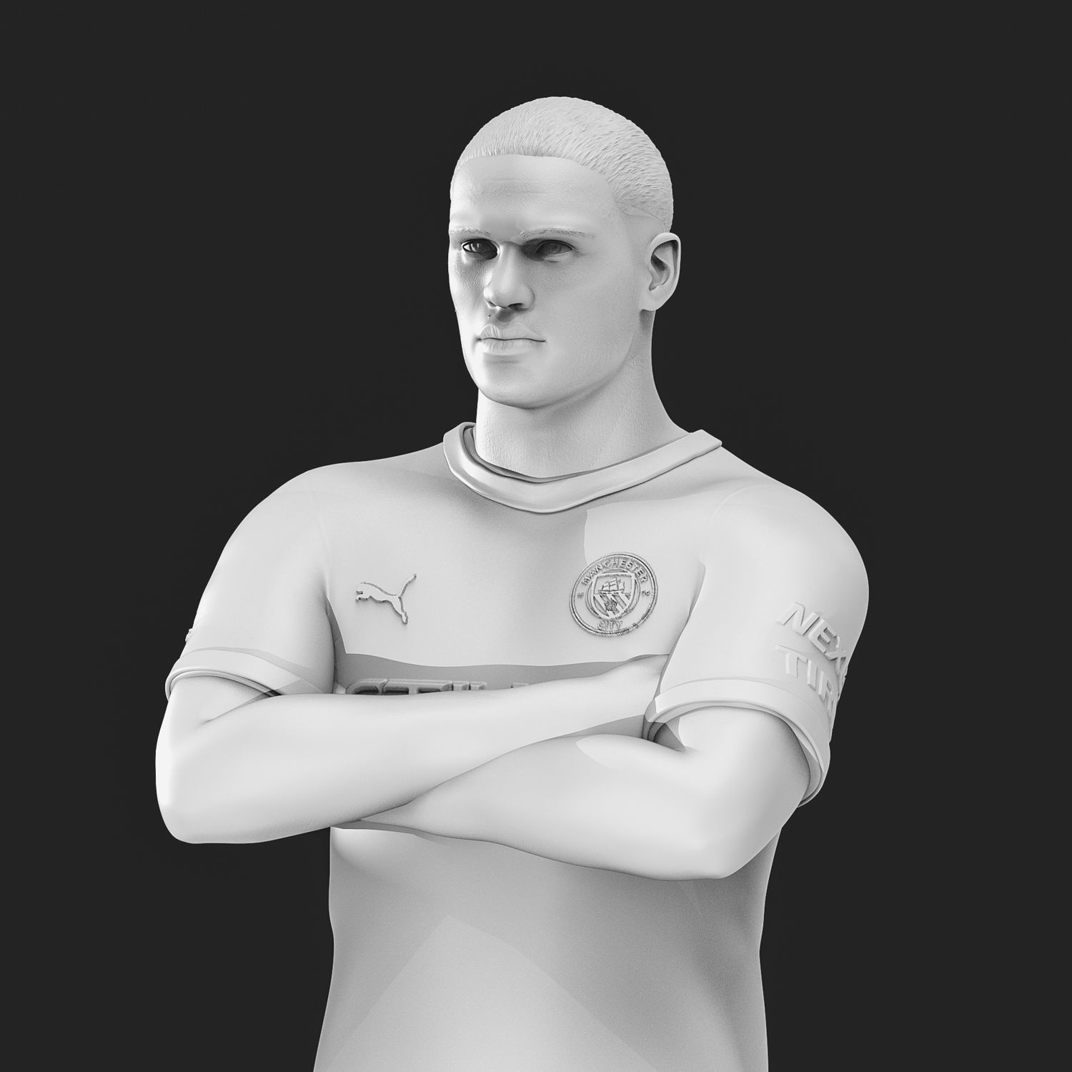 Erling Haaland 3D Printable 3D print model_28