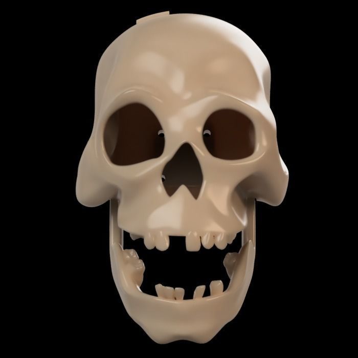 Halloween Talking Skull Disneyland Pirates of the Caribbean Ride 3D print model_4