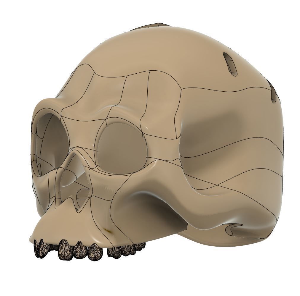 Halloween Talking Skull Disneyland Pirates of the Caribbean Ride 3D print model_9
