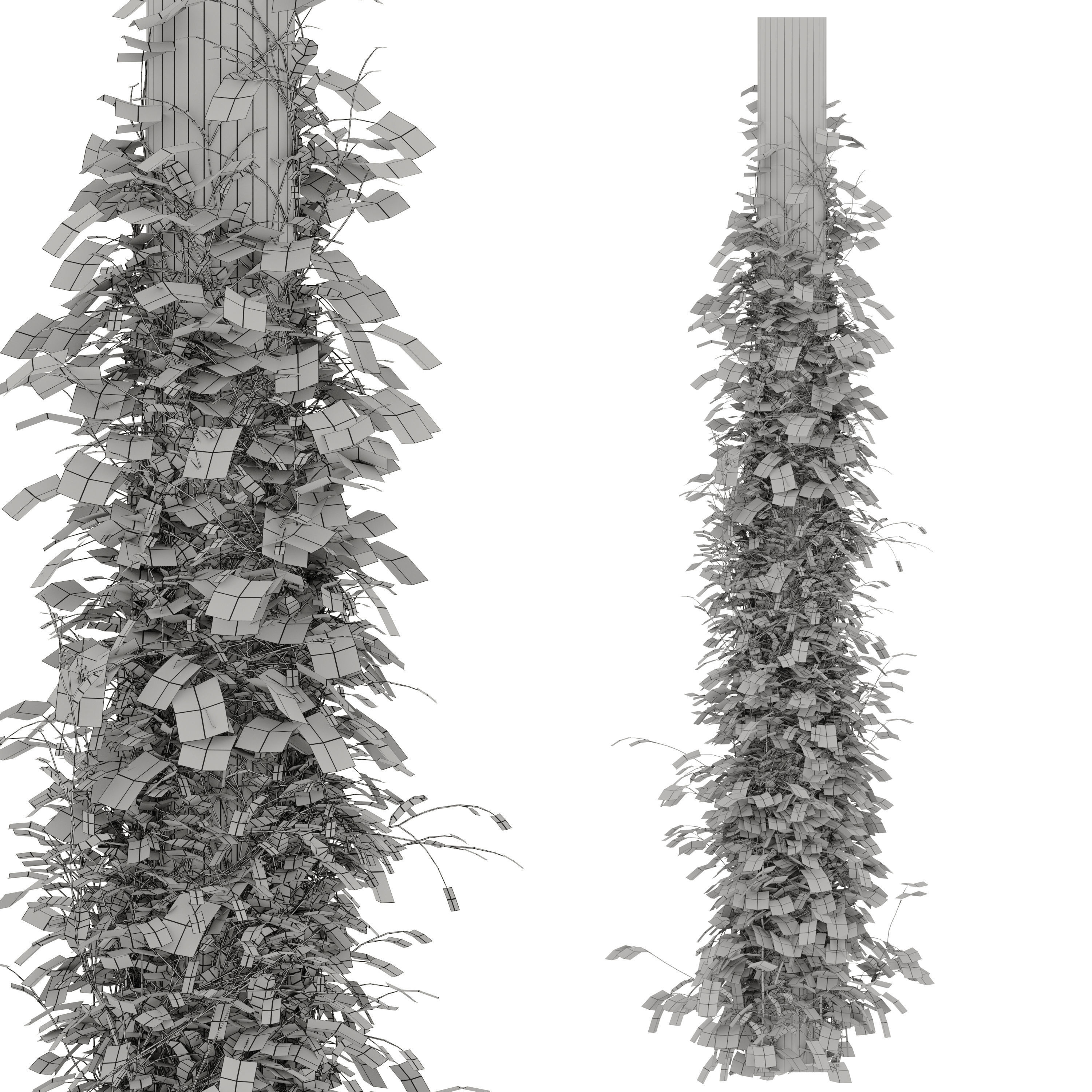 Vine plant 05 3D model_6