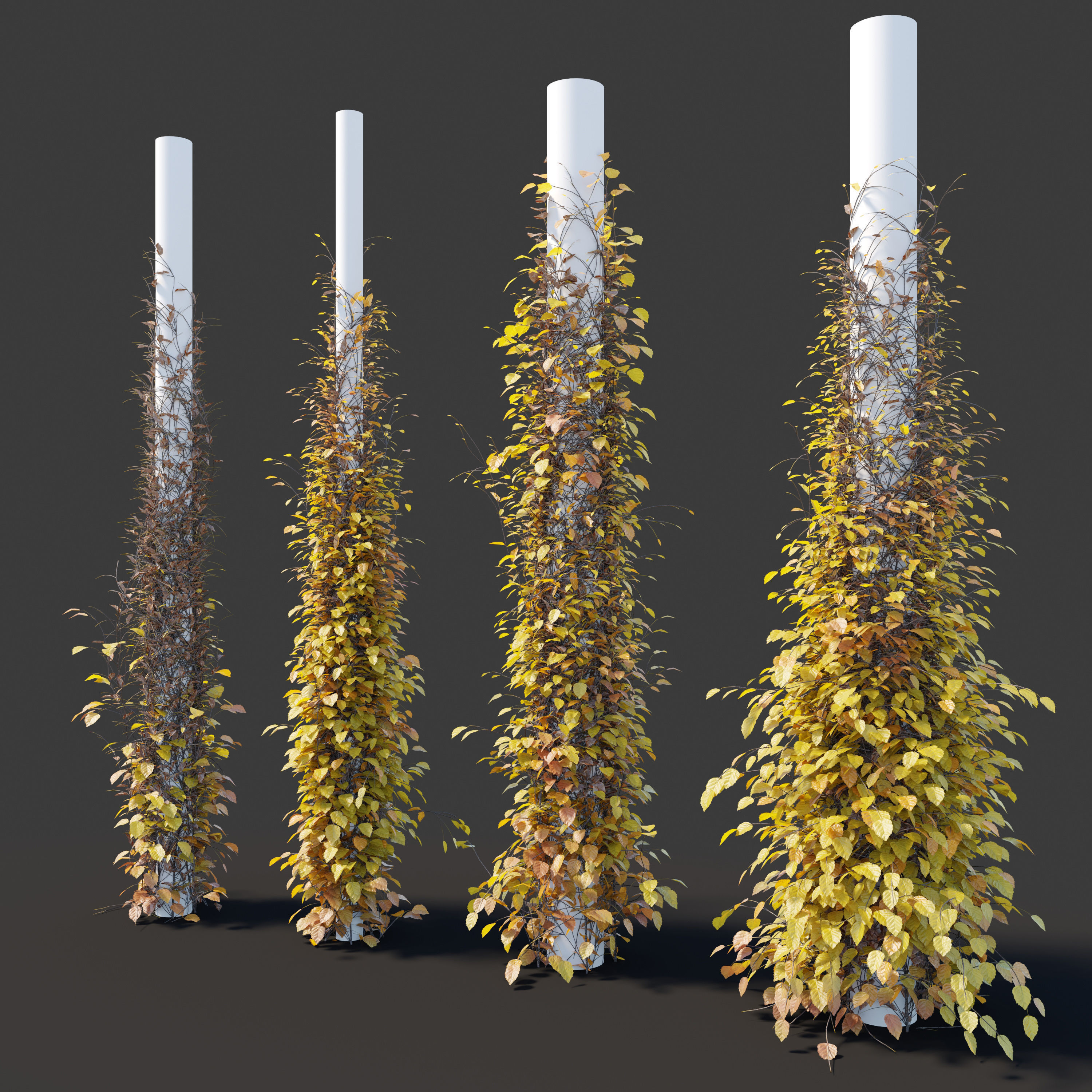 Vine plant 05 3D model_3