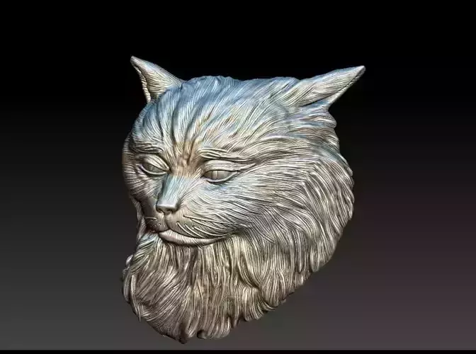 Cat model silver head