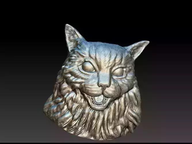 Cat Model silver head
