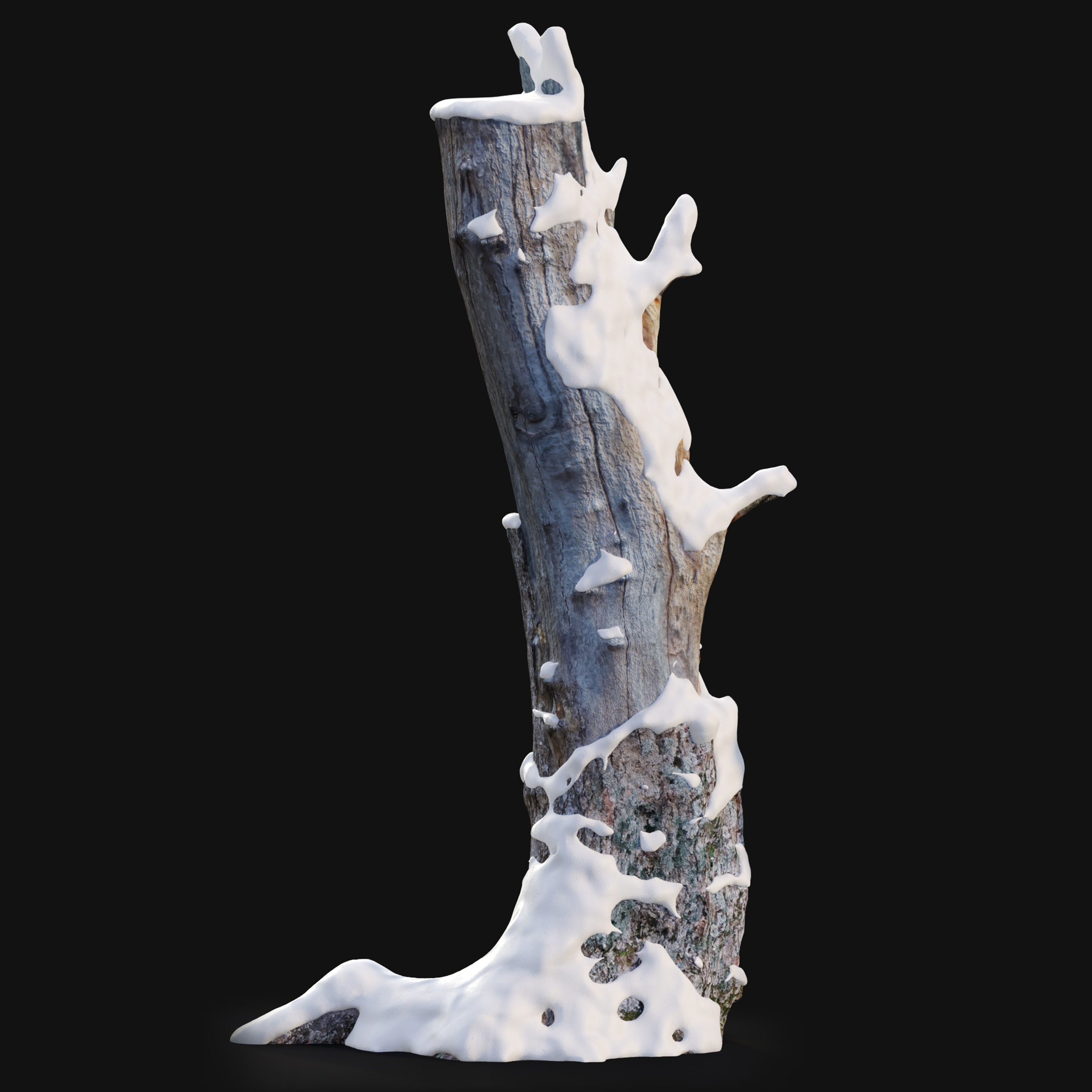 Tree stump in winter pack 01 3D model_2
