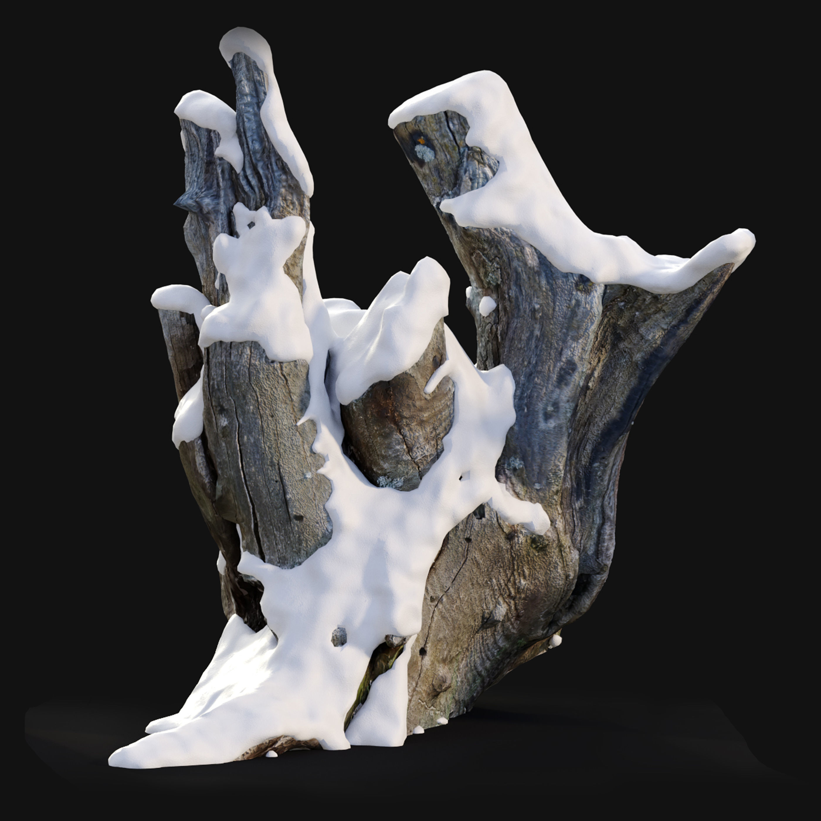 Tree stump in winter pack 01 3D model_3