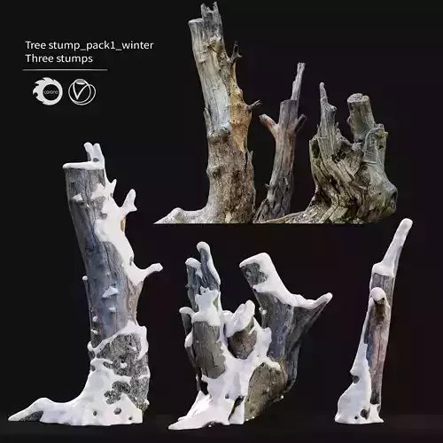 Tree stump in winter pack 01 3D model