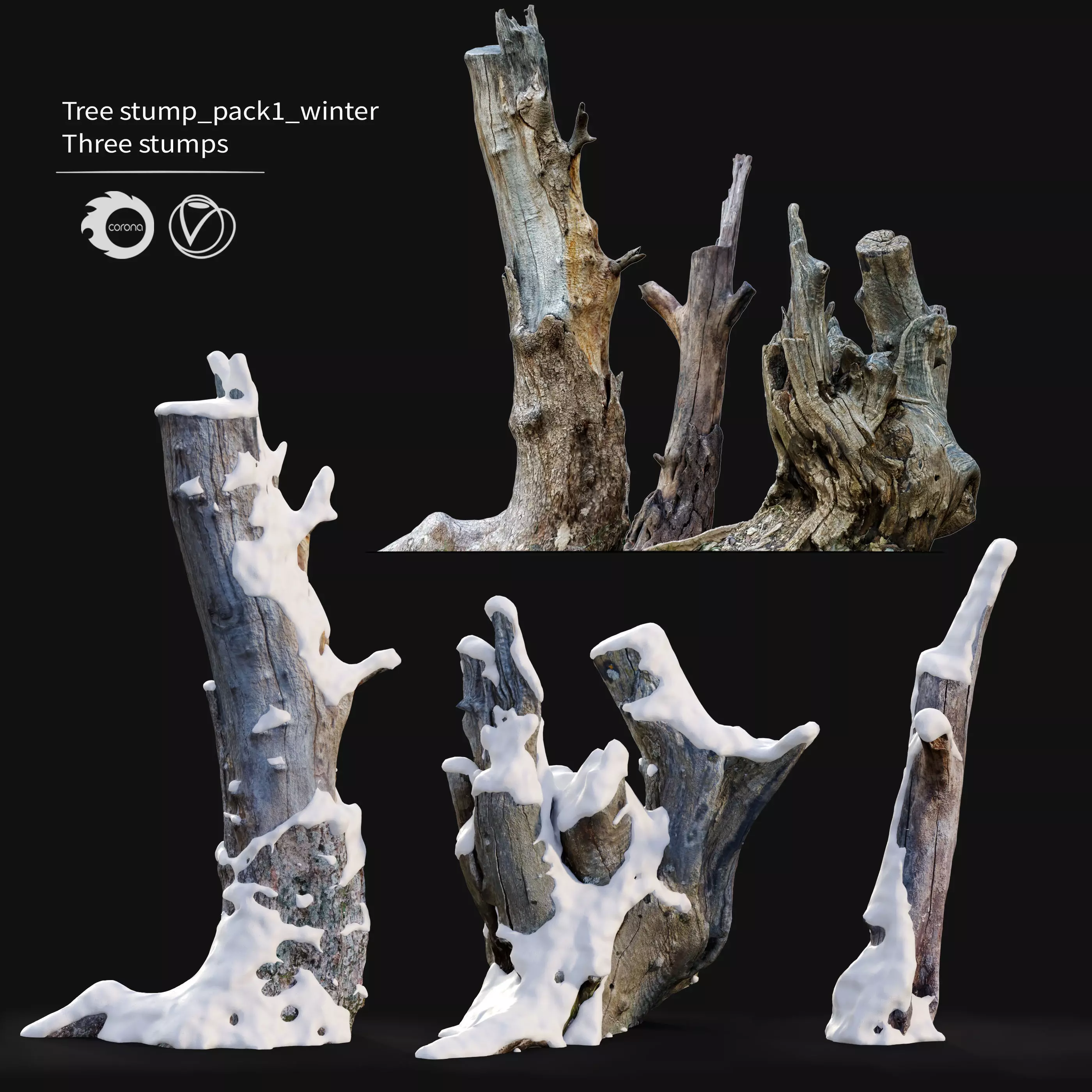 Tree stump in winter pack 01 3D model_0