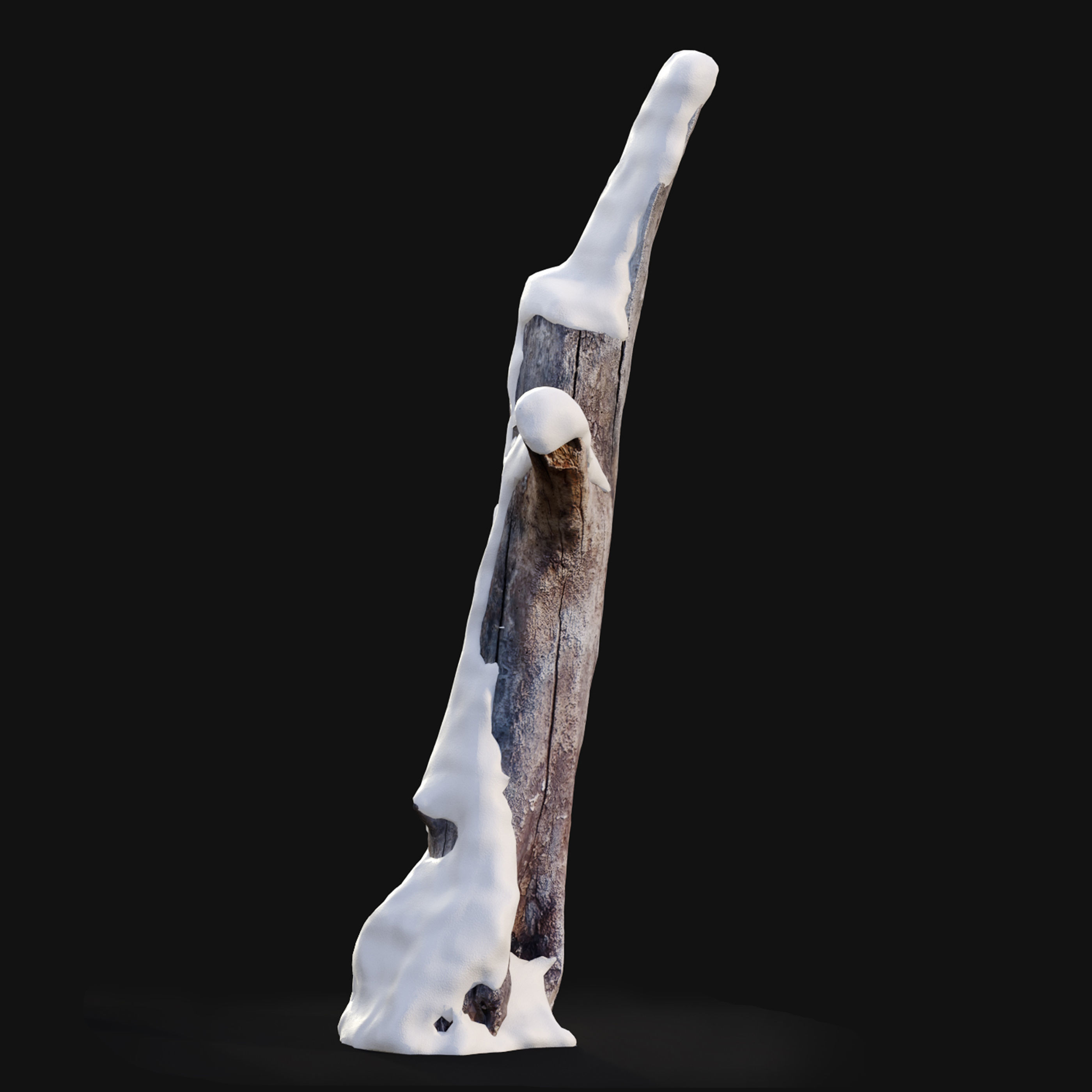 Tree stump in winter pack 01 3D model_4