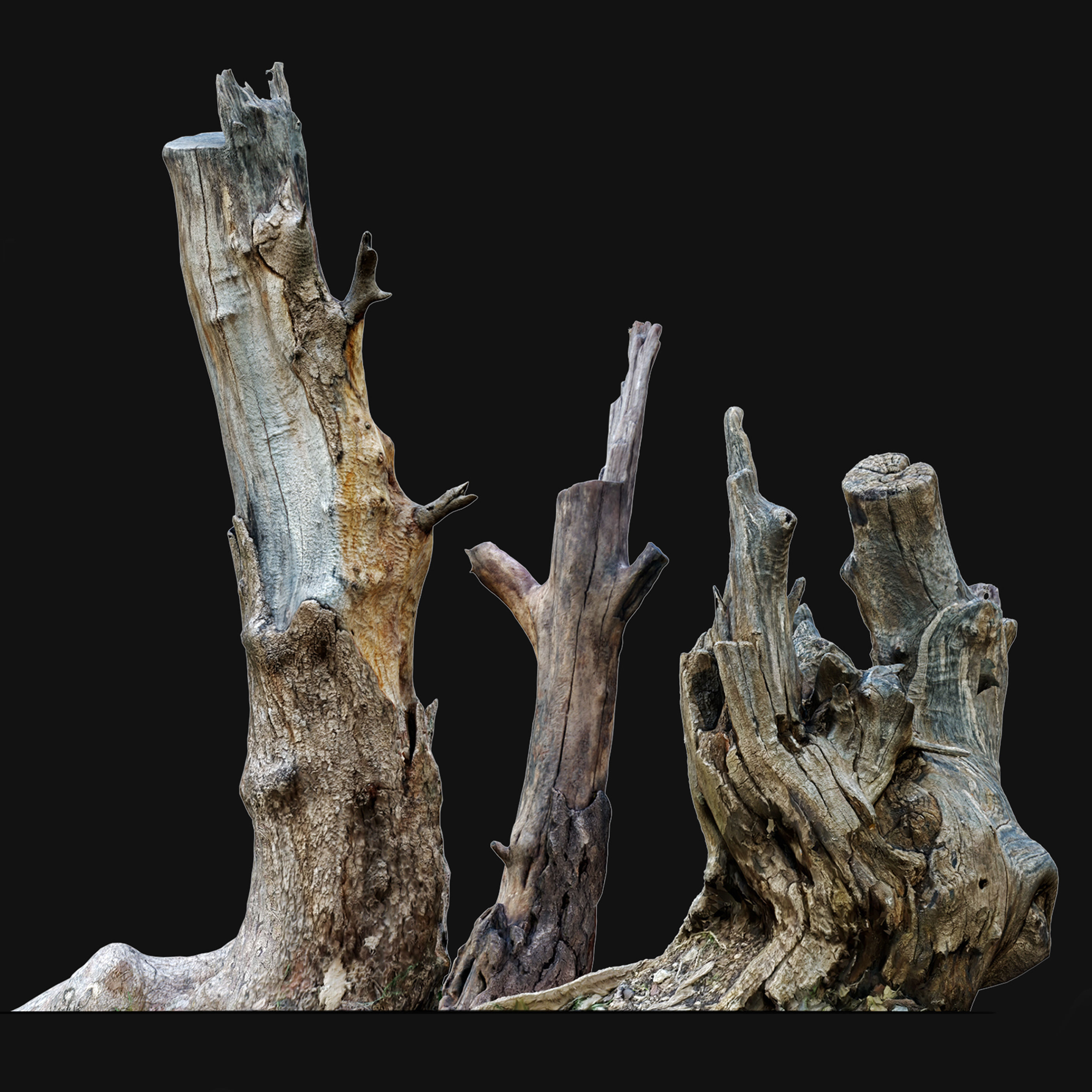 Tree stump in winter pack 01 3D model_5