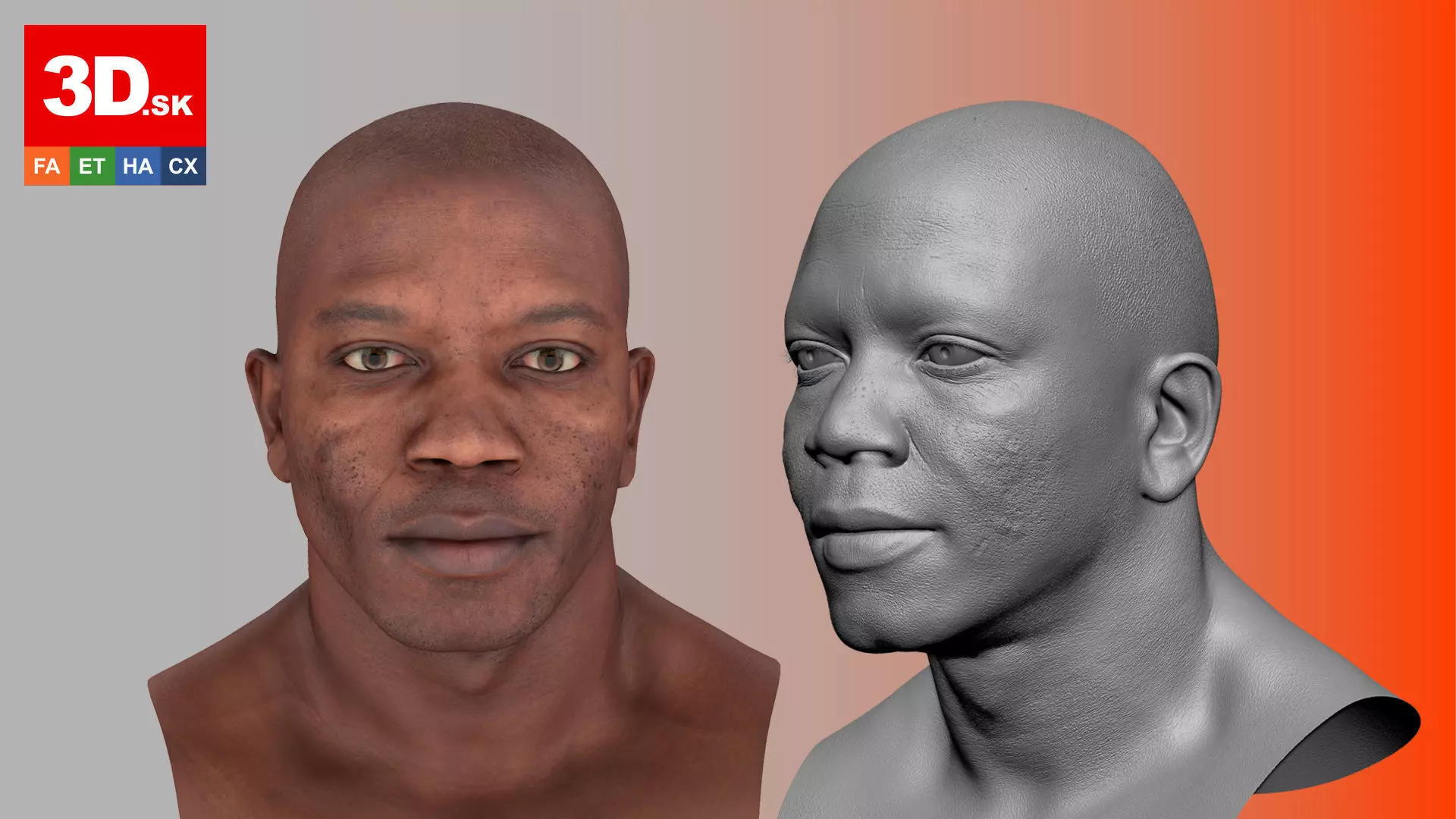 Retopologized Head Scan Juvante Henderson 3D model_0
