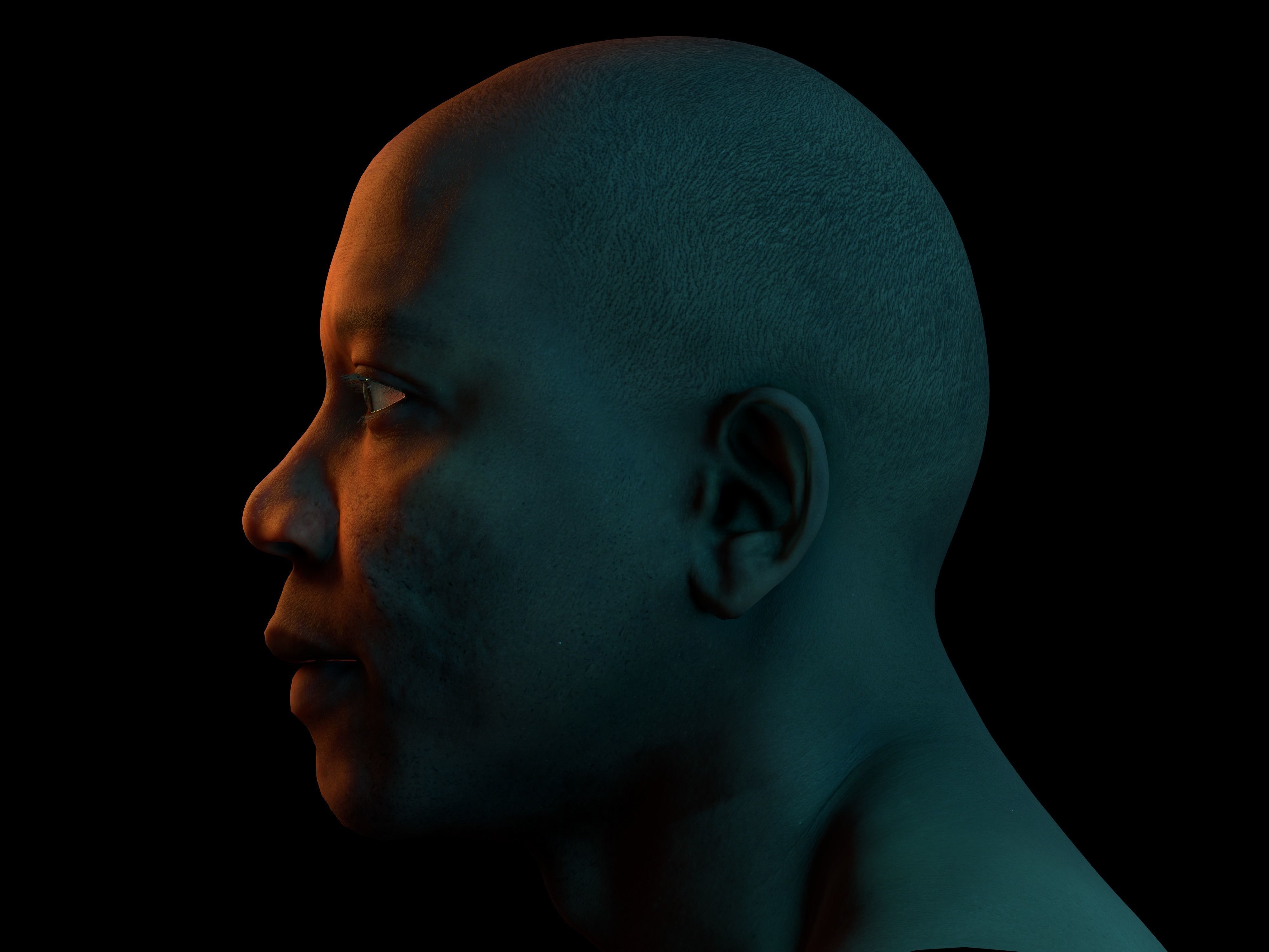 Retopologized Head Scan Juvante Henderson 3D model_11