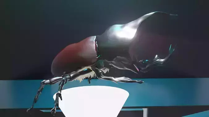beetle 3D model