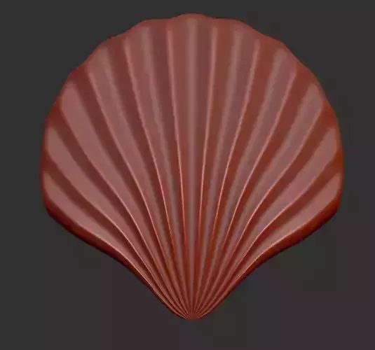 Scallop Model shell