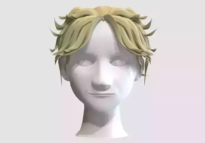 Curtains Male Hairstyle 