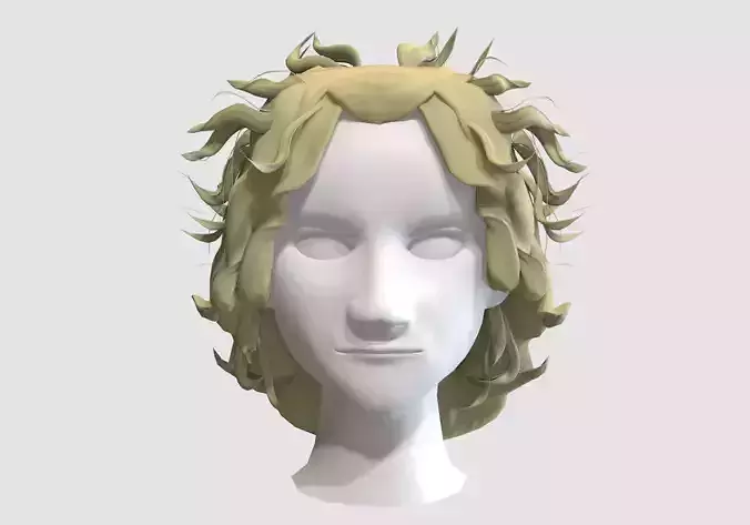 Curly Male Hairstyle  Low-poly 3D model