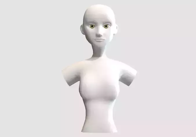 Basic Female Torso 