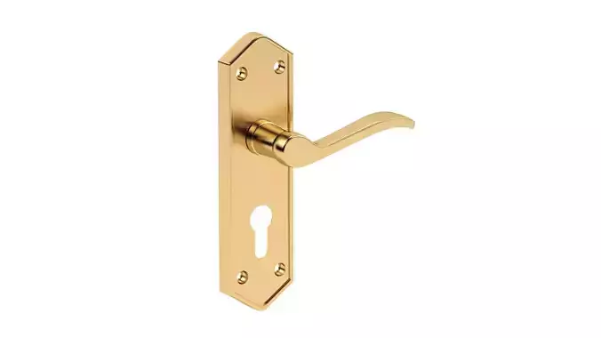 Paris Door Handles Polished Brass