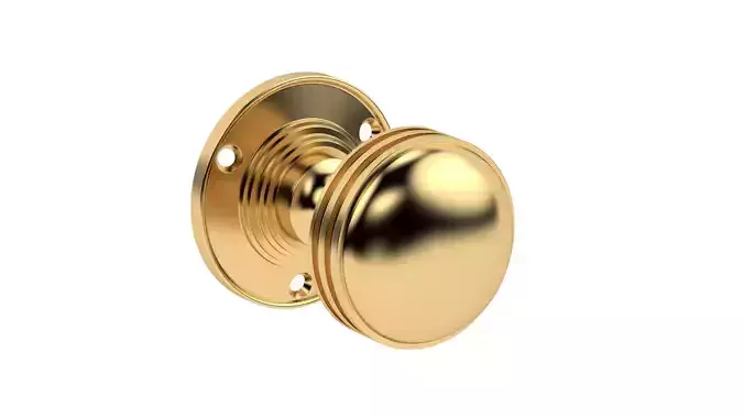 Ringed Mortice Door Knob 