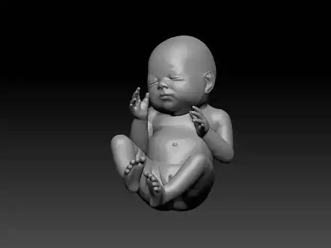 New born baby girl female 3d model for 3d printing 3D print model