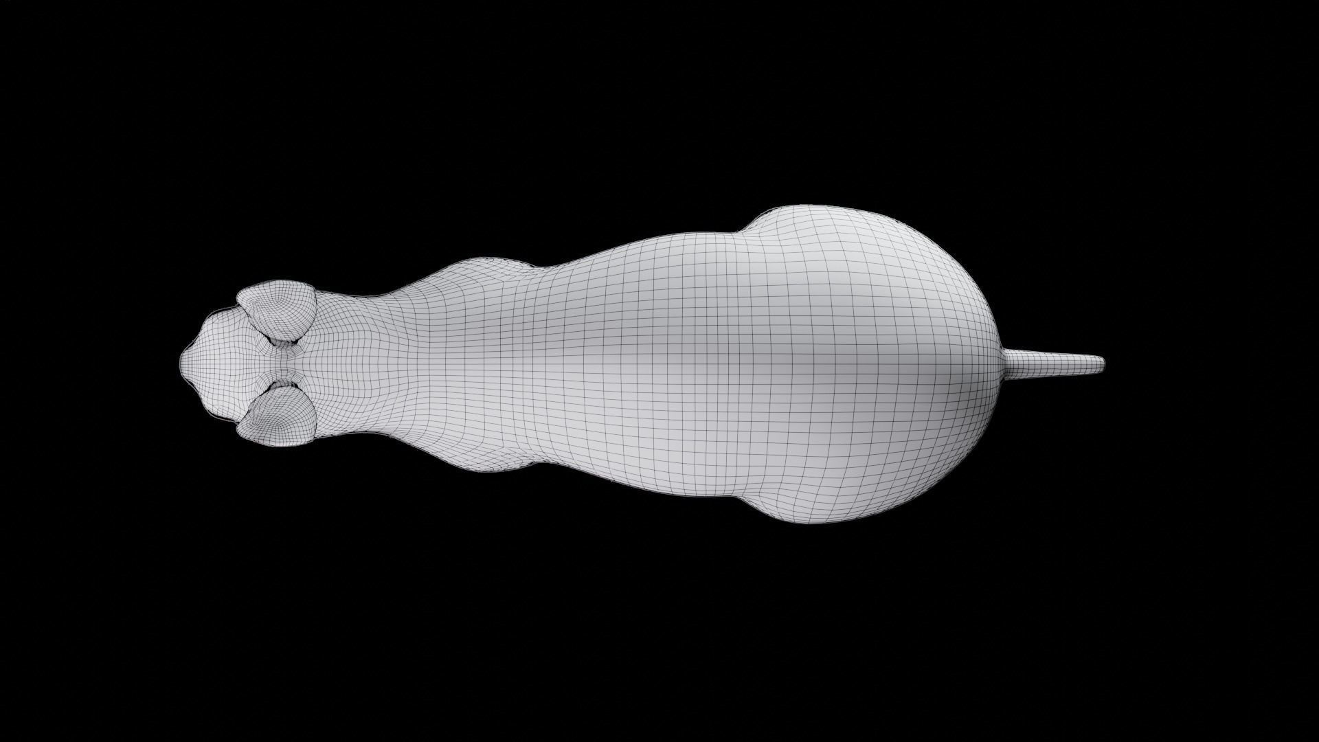 Fur Rabbit Gray V05 Rigged and Animation Low-poly 3D model_23