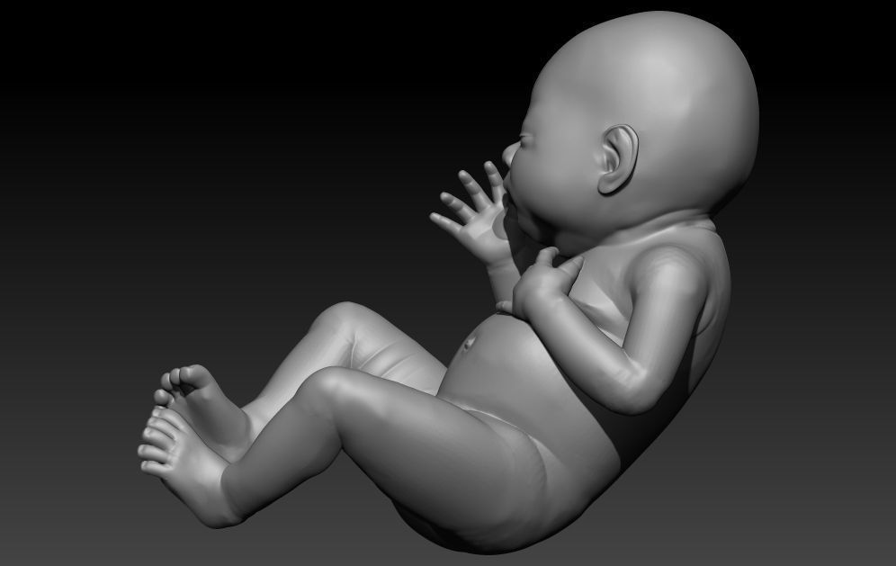 New born baby  boy girl 3d model for 3d printing 3D print model 3D Model Collection_5