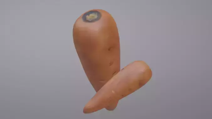 Carrot two carrots Low-poly 3D model