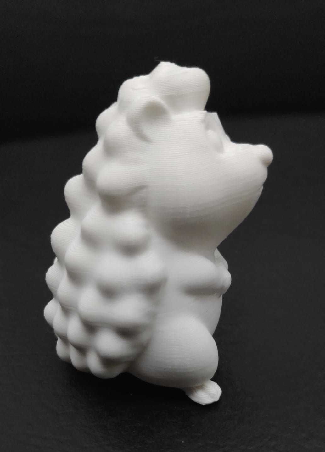 Hedgehog Looking Up 3D print model_6