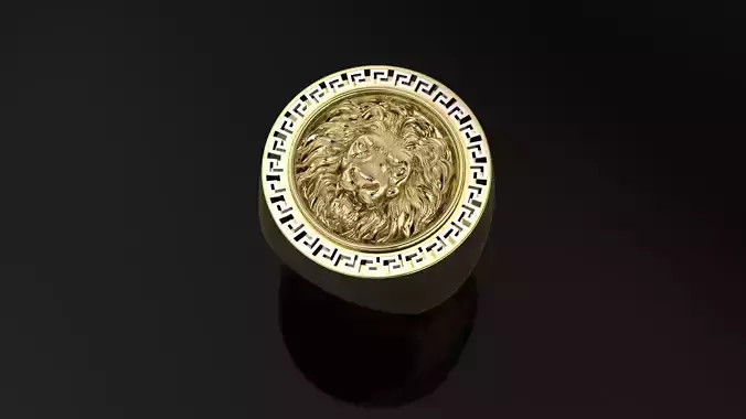Ring Lion Key greek ring size 62 eu 