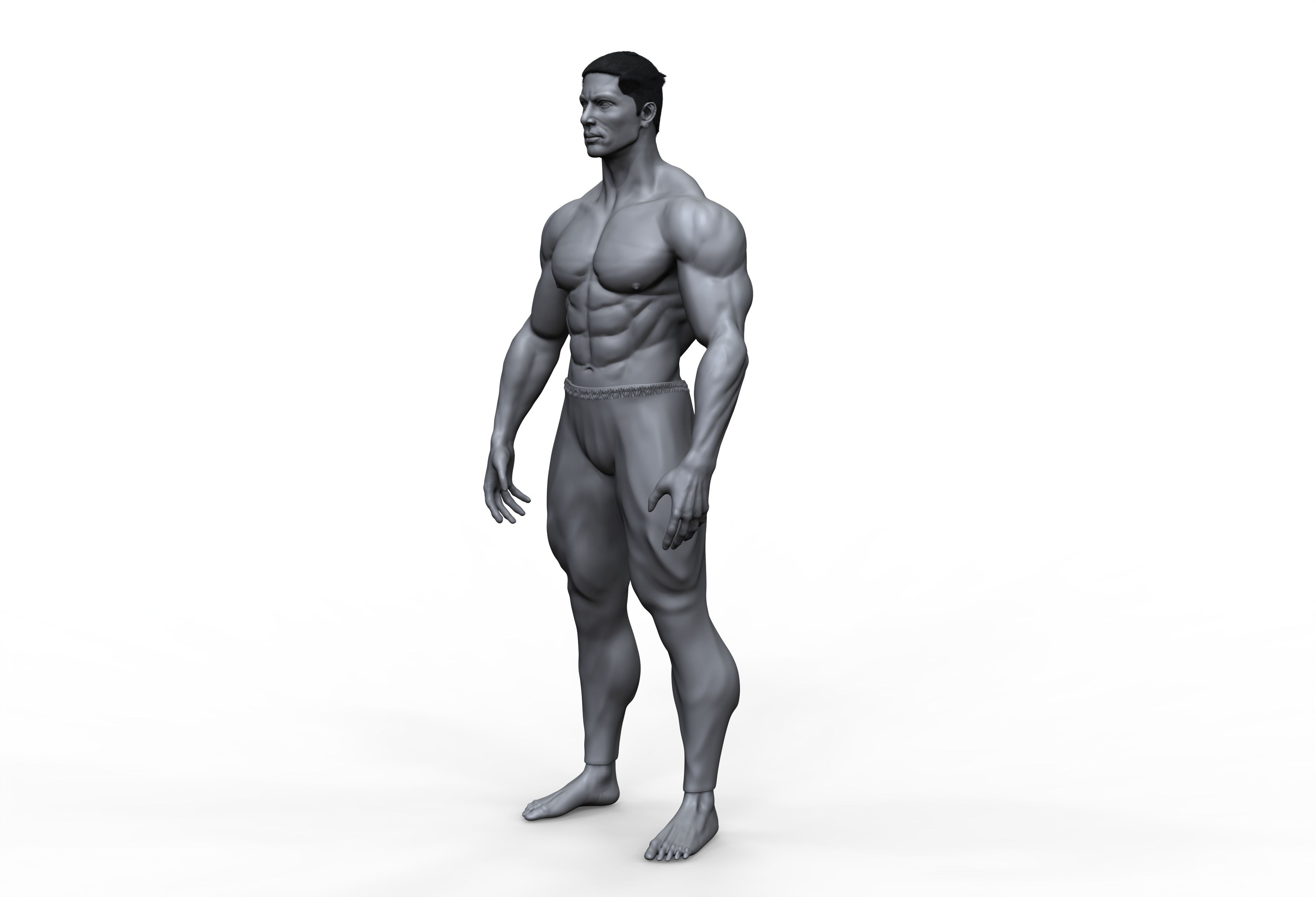 male anatomy study 3D print model 3D print model_4